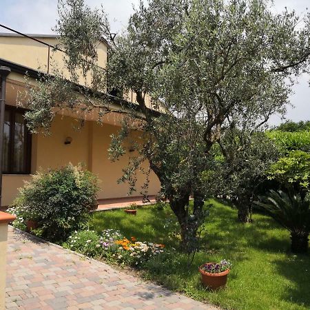 B&B D'Avino Pagani Buitenkant foto