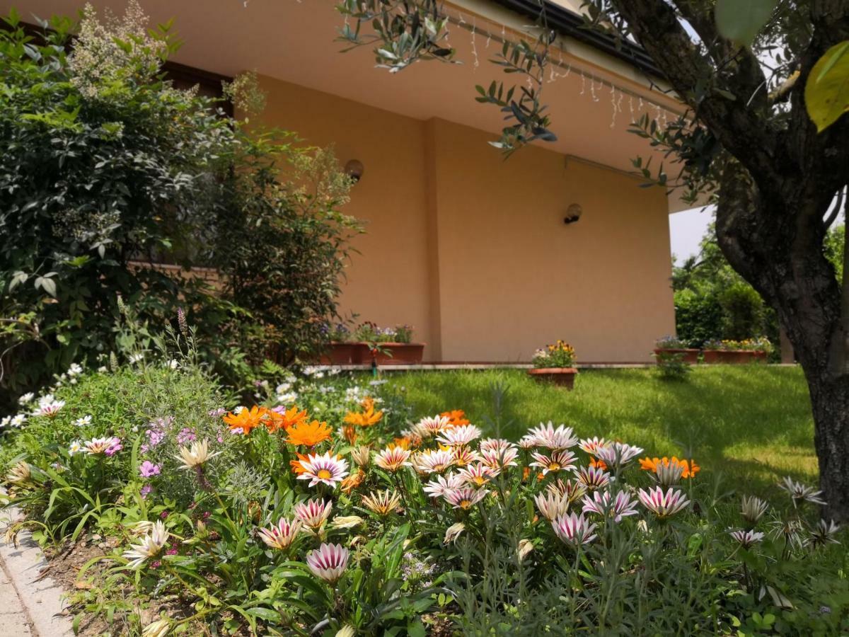 B&B D'Avino Pagani Buitenkant foto
