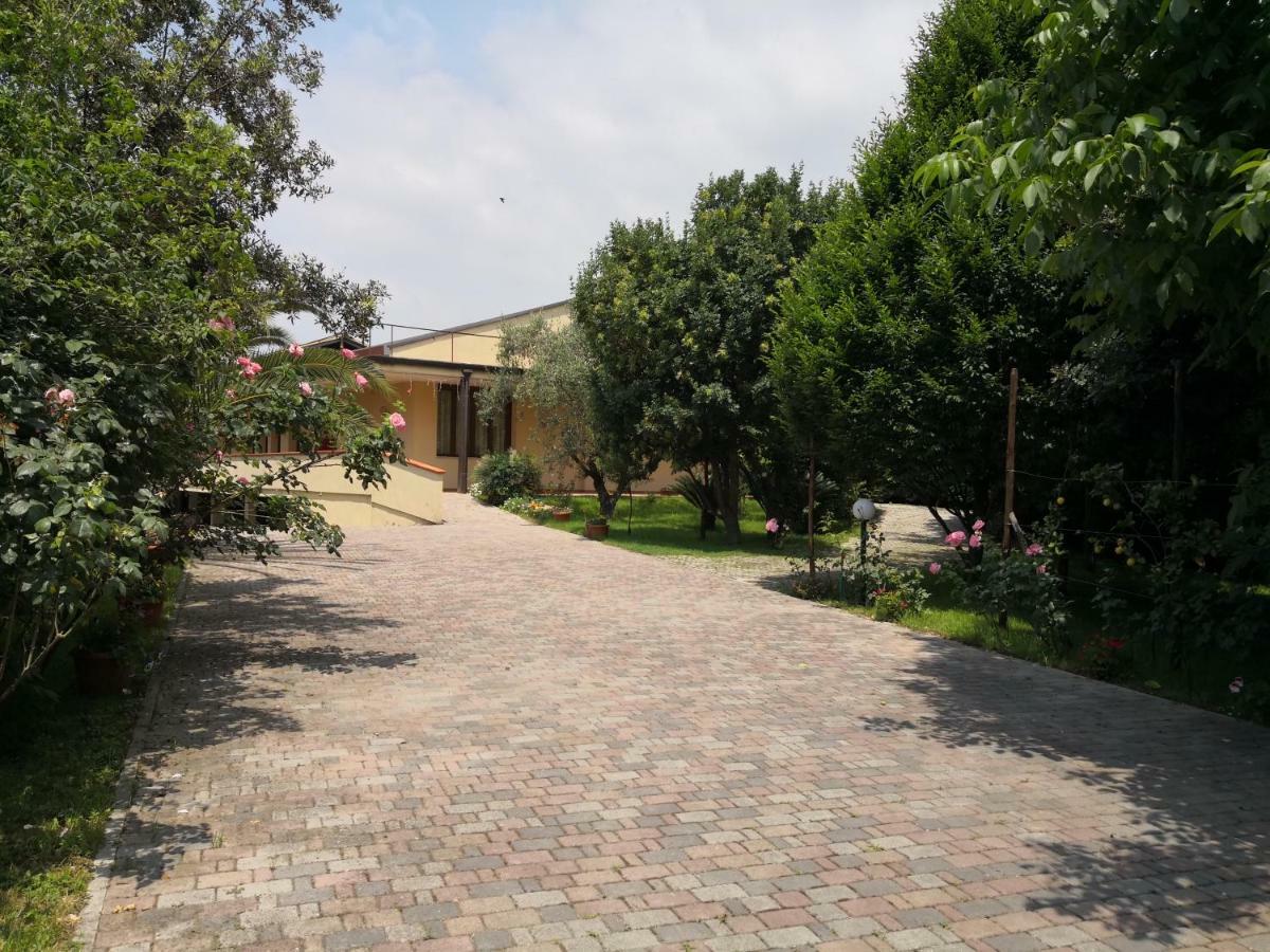 B&B D'Avino Pagani Buitenkant foto