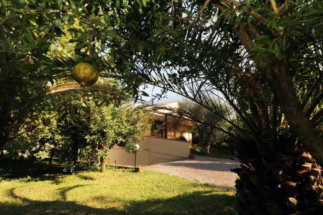B&B D'Avino Pagani Buitenkant foto